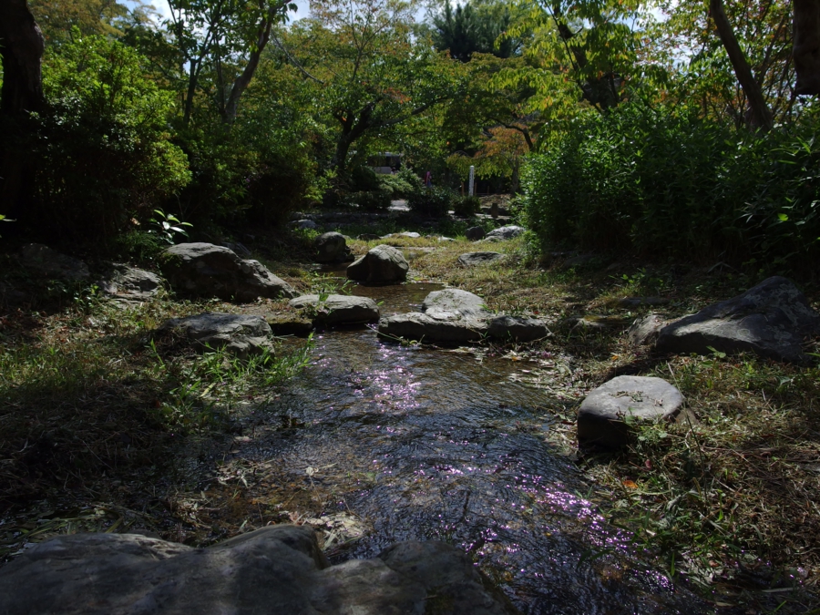 imgp0159.jpg